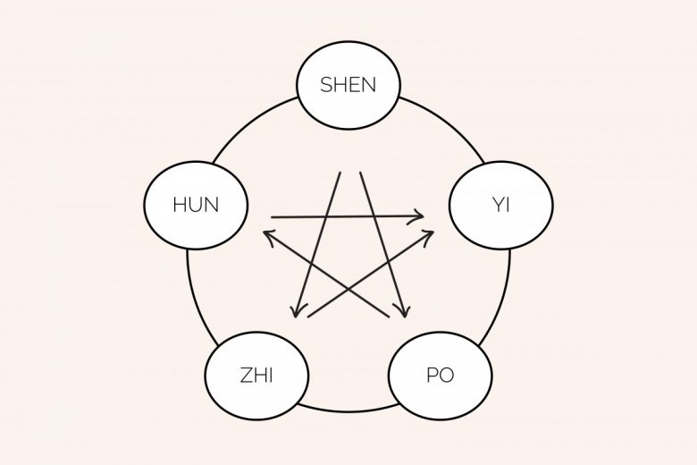 Duhovni vidik organov - Shen